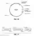 Fig. 12 - Thermostable neutral metalloproteases