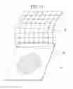 Fig. 13 - Microorganism culture sheet and manufacturing method therefor