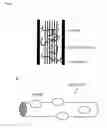 Fig. 03 - METHOD OF PRODUCING SUGAR SOLUTION AND SACCHARIFICATION DEVICE