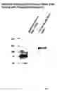 Fig. 08 - Methods for modifying cell surface glycans