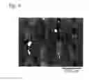Fig. 06 - METHOD FOR INDUCING DIFFERENTIATION OF EMBRYONIC STEM CELLS OR ARTIFICIAL PLURIPOTENT STEM CELLS
