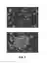 Fig. 03 - DIFFERENTIATION OF PRIMATE PLURIPOTENT STEM CELLS TO HEMATOPOIETIC LINEAGE CELLS