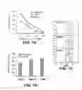 Fig. 12 - DIFFERENTIATION OF PRIMATE PLURIPOTENT STEM CELLS TO HEMATOPOIETIC LINEAGE CELLS