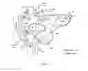 Fig. 02 - Cultured pancreas islets