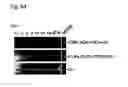 Fig. 08 - METHODS AND KITS FOR HIGH EFFICIENCY ENGINEERING OF CONDITIONAL MOUSE ALLELES
