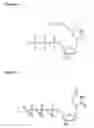 Fig. 06 - Labelling Strategies for the Sensitive Detection of Analytes