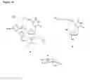 Fig. 19 - Labelling Strategies for the Sensitive Detection of Analytes