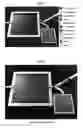 Fig. 02 - Physiologic sample preparation for nanosensors