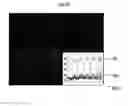 Fig. 08 - Physiologic sample preparation for nanosensors