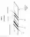 Fig. 03 - INDIRECT LATERAL FLOW SANDWICH ASSAY