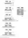 Fig. 03 - Photo-semiconductor device and method of manufacturing the same