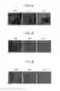 Fig. 05 - Method for forming Ge-Sb-Te film and storage medium