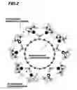 Fig. 03 - Gas-phase functionalization of surfaces of microelectronic structures