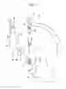 Fig. 12 - Electronic apparatus on which plug-in unit can be mounted