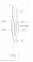 Fig. 02 - PRESS-FIT MEANS AND ELECTRICAL CONNECTOR HAVING THE SAME