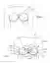 Fig. 02 - Adjustable push-up adhesive bra
