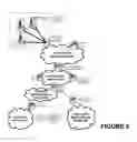 Fig. 08 - Emergency communication recognition