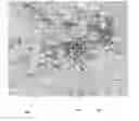 Fig. 01 - Method of and system for estimating temporal demographics of mobile users