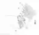 Fig. 06 - Leg Stretching Device