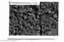 Fig. 01 - Method for forming an aluminosilicate-zeolite layer on a metal substrate, the coated substrate and the use thereof