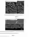 Fig. 03 - Method for forming an aluminosilicate-zeolite layer on a metal substrate, the coated substrate and the use thereof