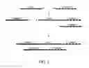 Fig. 02 - Reducing adapter dimer formation