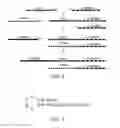 Fig. 03 - Reducing adapter dimer formation