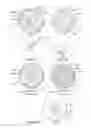 Fig. 10 - METHODS AND APPARATUS FOR NANOPARTICLE-ASSISTED NUCLEIC ACID HYBRIDIZATION AND MICROARRAY ANALYSIS