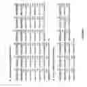 Fig. 02 - Methods for assessing and identifying or evolving conditionally active therapeutic proteins