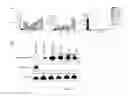 Fig. 03 - MIR-211 EXPRESSION AND RELATED PATHWAYS IN HUMAN MELANOMA