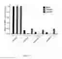 Fig. 09 - MIR-211 EXPRESSION AND RELATED PATHWAYS IN HUMAN MELANOMA