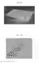 Fig. 11 - HIGH-THROUGHPUT SLIDE PROCESSING APPARATUS