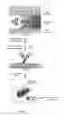Fig. 02 - Immunoglobulin libraries