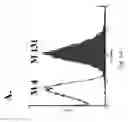 Fig. 10 - Immunoglobulin libraries