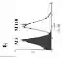 Fig. 11 - Immunoglobulin libraries