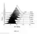 Fig. 19 - Immunoglobulin libraries