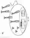 Fig. 23 - Immunoglobulin libraries