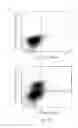 Fig. 27 - Immunoglobulin libraries