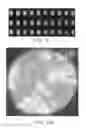 Fig. 04 - Cell-based arrays, methods of making, and methods of using