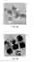 Fig. 14 - Unit dose detergent compositions and methods of production and use thereof