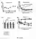 Fig. 09 - METHODS FOR TREATING TYPE I DIABETES WITH LEPTIN AND LEPTIN AGONISTS