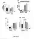 Fig. 11 - METHODS FOR TREATING TYPE I DIABETES WITH LEPTIN AND LEPTIN AGONISTS