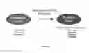 Fig. 02 - Methods for In Vivo Cell Reprogramming