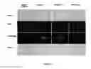 Fig. 06 - Methods for In Vivo Cell Reprogramming