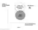 Fig. 08 - Methods for In Vivo Cell Reprogramming