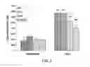 Fig. 02 - PHARMACEUTICAL COMPOSITION FOR NEUROPROTECTIVE TREATMENT IN PATIENTS WITH ICTUS COMPRISING CITICOLINE AND URIC ACID