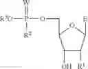 Fig. 07 - NOVEL PHOSPHATE MODIFIED NUCLEOSIDES USEFUL AS SUBSTRATES FOR POLYMERASES AND AS ANTIVIRAL AGENTS