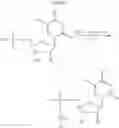 Fig. 17 - NOVEL PHOSPHATE MODIFIED NUCLEOSIDES USEFUL AS SUBSTRATES FOR POLYMERASES AND AS ANTIVIRAL AGENTS