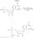 Fig. 18 - NOVEL PHOSPHATE MODIFIED NUCLEOSIDES USEFUL AS SUBSTRATES FOR POLYMERASES AND AS ANTIVIRAL AGENTS