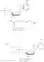 Fig. 20 - NOVEL PHOSPHATE MODIFIED NUCLEOSIDES USEFUL AS SUBSTRATES FOR POLYMERASES AND AS ANTIVIRAL AGENTS